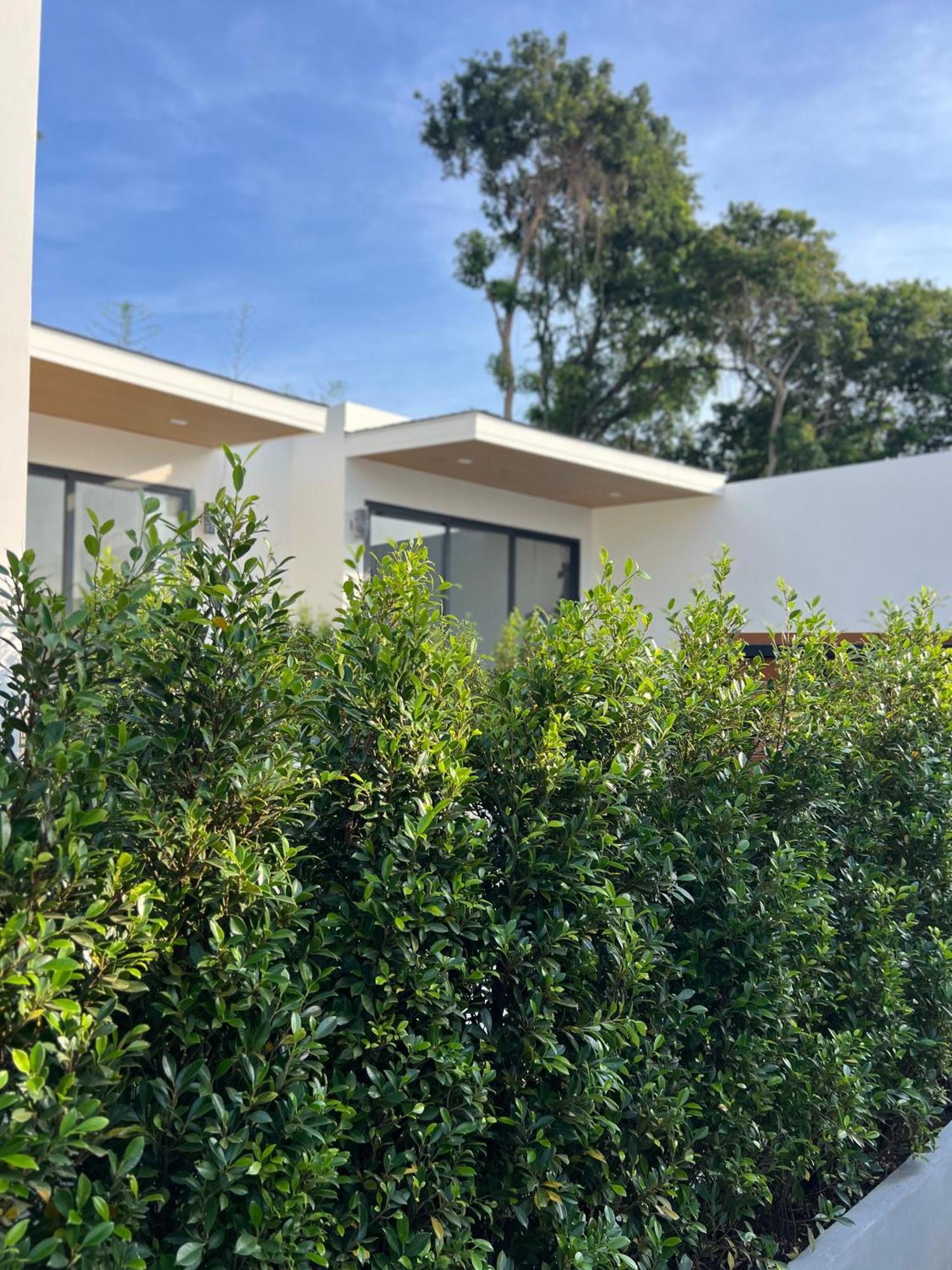 לאמאי ביץ' Three Trees Samui Resort - Sarocha Villa מראה חיצוני תמונה